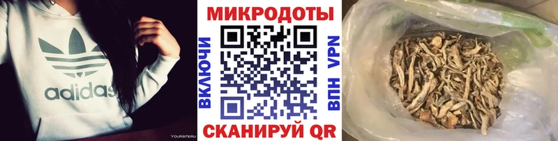 что такое наркотик  Западная Двина  Псилоцибиновые грибы ЛСД 